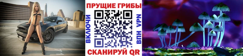 мега как войти  Перевоз  Псилоцибиновые грибы MAGIC MUSHROOMS  как найти закладки 